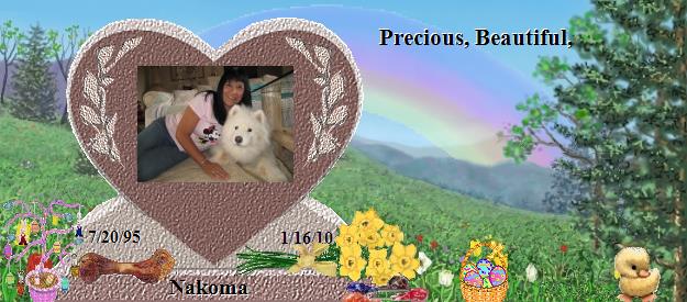 Nakoma's Rainbow Bridge Pet Loss Memorial Residency Image