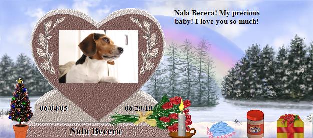 Nala Becera's Rainbow Bridge Pet Loss Memorial Residency Image