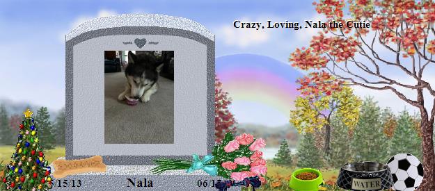 Nala's Rainbow Bridge Pet Loss Memorial Residency Image