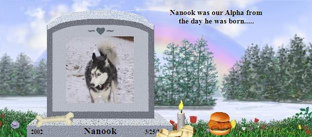 Nanook's Rainbow Bridge Pet Loss Memorial Residency Image