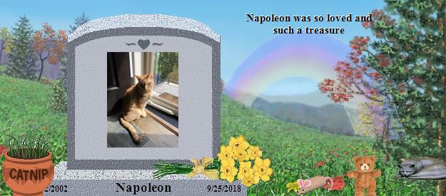 Napoleon's Rainbow Bridge Pet Loss Memorial Residency Image