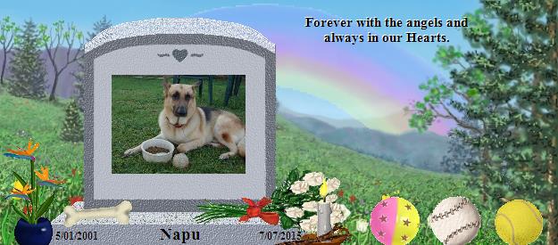 Napu's Rainbow Bridge Pet Loss Memorial Residency Image