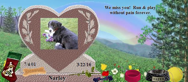 Narley's Rainbow Bridge Pet Loss Memorial Residency Image