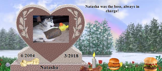 Natasha's Rainbow Bridge Pet Loss Memorial Residency Image