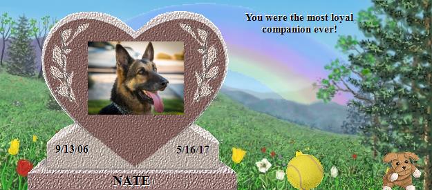 NATE's Rainbow Bridge Pet Loss Memorial Residency Image