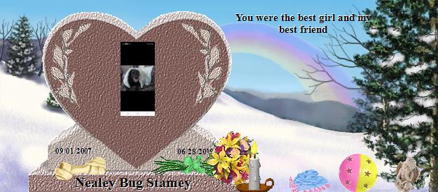 Nealey Bug Stamey's Rainbow Bridge Pet Loss Memorial Residency Image