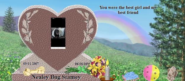 Nealey Bug Stamey's Rainbow Bridge Pet Loss Memorial Residency Image