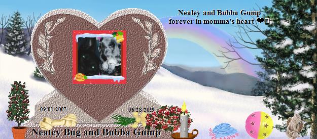 Nealey Bug and Bubba Gump's Rainbow Bridge Pet Loss Memorial Residency Image