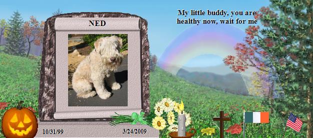 NED's Rainbow Bridge Pet Loss Memorial Residency Image