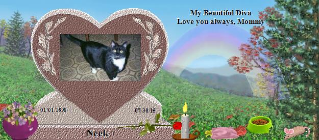 Neek's Rainbow Bridge Pet Loss Memorial Residency Image