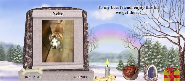 Nelix's Rainbow Bridge Pet Loss Memorial Residency Image