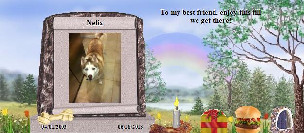Nelix's Rainbow Bridge Pet Loss Memorial Residency Image