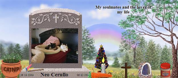 Neo Cerullo's Rainbow Bridge Pet Loss Memorial Residency Image