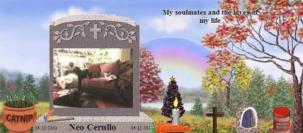 Neo Cerullo's Rainbow Bridge Pet Loss Memorial Residency Image