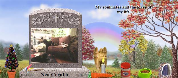 Neo Cerullo's Rainbow Bridge Pet Loss Memorial Residency Image