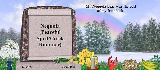 Nequoia (Peaceful Sprit/Creek Runnner)'s Rainbow Bridge Pet Loss Memorial Residency Image