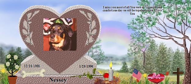 Nessey's Rainbow Bridge Pet Loss Memorial Residency Image