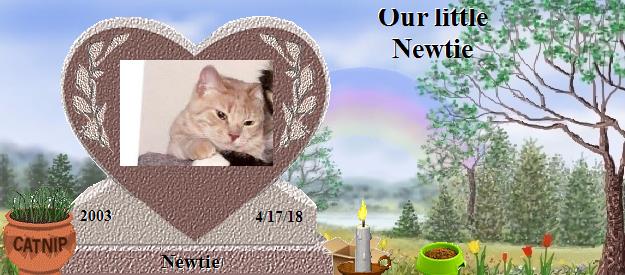 Newtie's Rainbow Bridge Pet Loss Memorial Residency Image