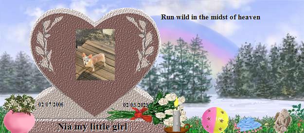 Nia my little girl's Rainbow Bridge Pet Loss Memorial Residency Image