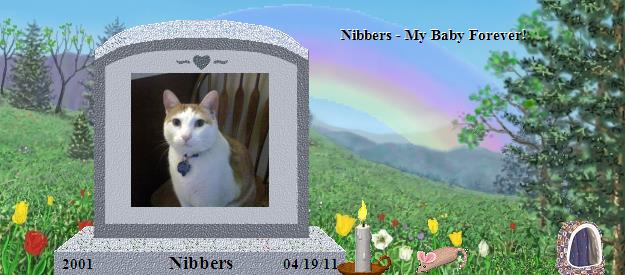 Nibbers's Rainbow Bridge Pet Loss Memorial Residency Image