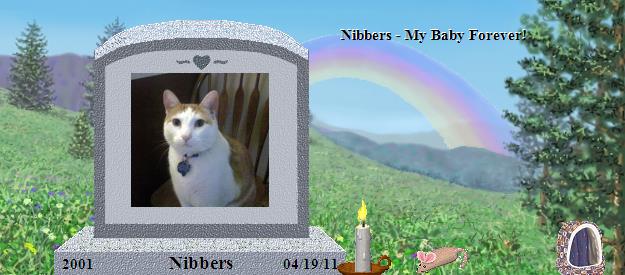 Nibbers's Rainbow Bridge Pet Loss Memorial Residency Image