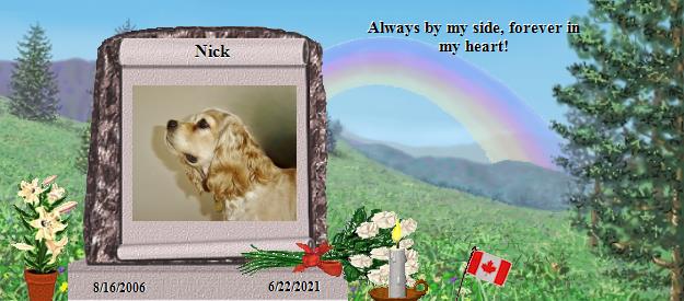 Nick's Rainbow Bridge Pet Loss Memorial Residency Image