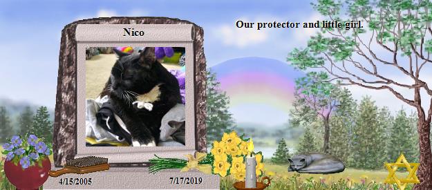 Nico's Rainbow Bridge Pet Loss Memorial Residency Image