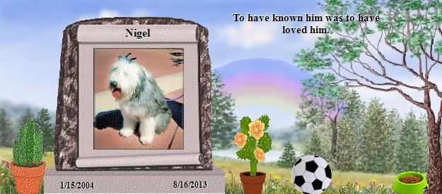 Nigel's Rainbow Bridge Pet Loss Memorial Residency Image