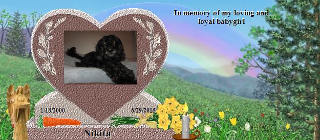 Nikita's Rainbow Bridge Pet Loss Memorial Residency Image