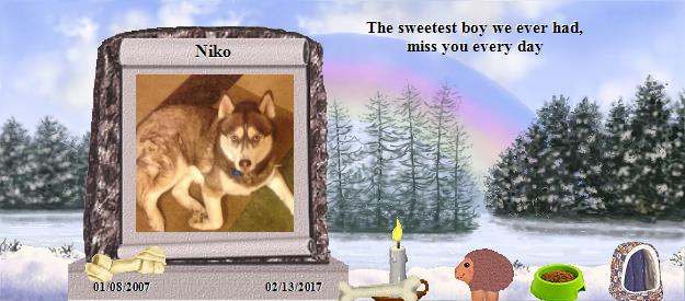 Niko's Rainbow Bridge Pet Loss Memorial Residency Image