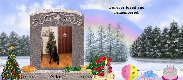 Niko's Rainbow Bridge Pet Loss Memorial Residency Image