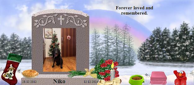 Niko's Rainbow Bridge Pet Loss Memorial Residency Image