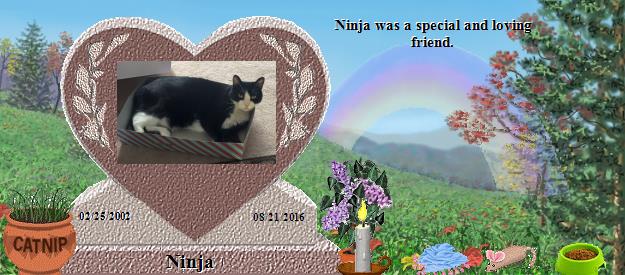 Ninja's Rainbow Bridge Pet Loss Memorial Residency Image