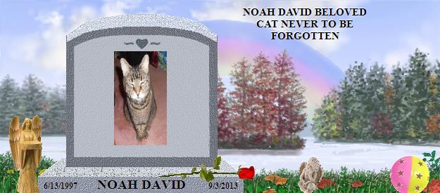 NOAH DAVID's Rainbow Bridge Pet Loss Memorial Residency Image