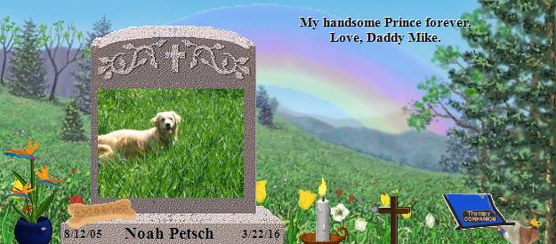 Noah Petsch's Rainbow Bridge Pet Loss Memorial Residency Image