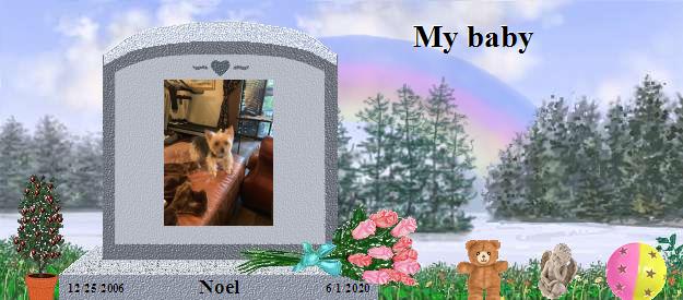 Noel's Rainbow Bridge Pet Loss Memorial Residency Image