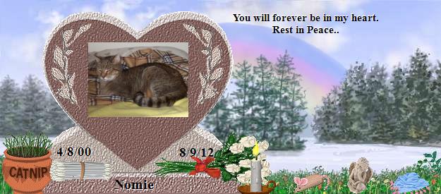 Nomie's Rainbow Bridge Pet Loss Memorial Residency Image