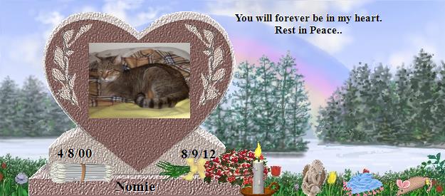 Nomie's Rainbow Bridge Pet Loss Memorial Residency Image