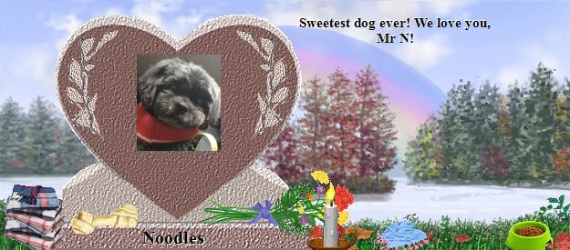 Noodles's Rainbow Bridge Pet Loss Memorial Residency Image