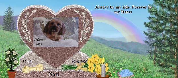 Nori's Rainbow Bridge Pet Loss Memorial Residency Image