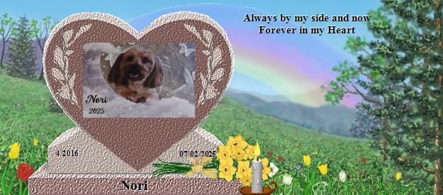 Nori's Rainbow Bridge Pet Loss Memorial Residency Image