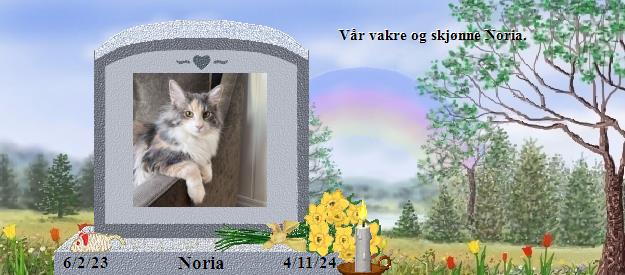 Noria's Rainbow Bridge Pet Loss Memorial Residency Image