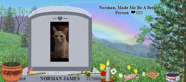 NORMAN JAMES's Rainbow Bridge Pet Loss Memorial Residency Image