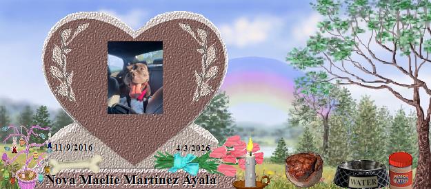 Nova Maelie Martinez Ayala's Rainbow Bridge Pet Loss Memorial Residency Image