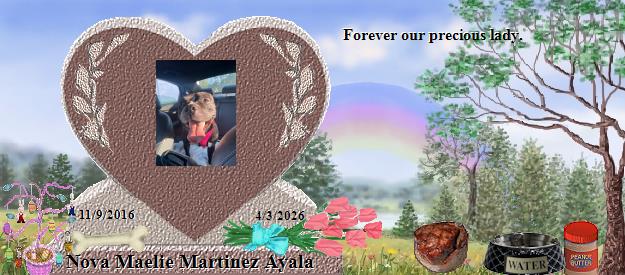 Nova Maelie Martinez Ayala's Rainbow Bridge Pet Loss Memorial Residency Image