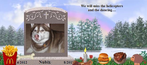 Nubix's Rainbow Bridge Pet Loss Memorial Residency Image