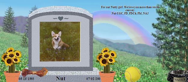Nut's Rainbow Bridge Pet Loss Memorial Residency Image
