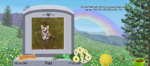 Nut's Rainbow Bridge Pet Loss Memorial Residency Image