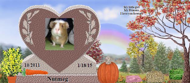 Nutmeg's Rainbow Bridge Pet Loss Memorial Residency Image