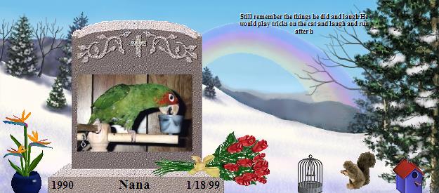 Nana's Rainbow Bridge Pet Loss Memorial Residency Image
